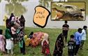  مگرمچھ کے حملے میں ایک خاتون ہلاک۔ حکام نے لاش کو کیا برآمد 
